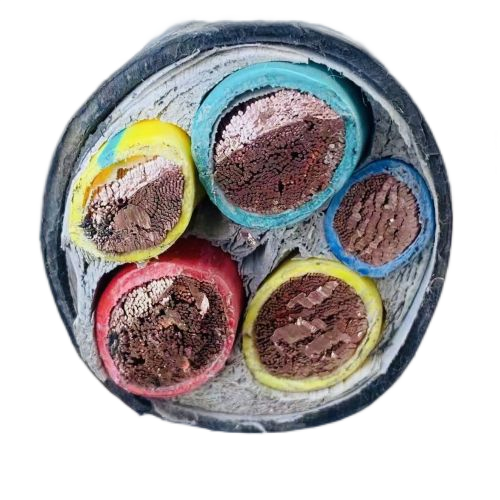 亚洲国产熟妇无码日韩