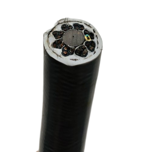 亚洲国产熟妇无码日韩