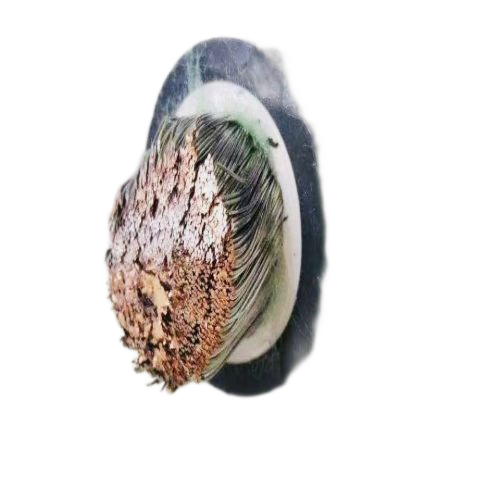 亚洲国产熟妇无码日韩