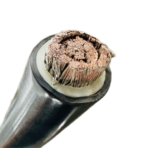 亚洲国产熟妇无码日韩