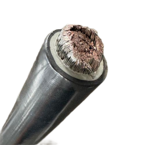 亚洲国产熟妇无码日韩