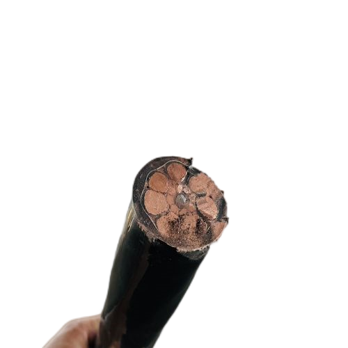 亚洲国产熟妇无码日韩