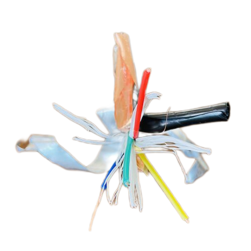 亚洲国产熟妇无码日韩