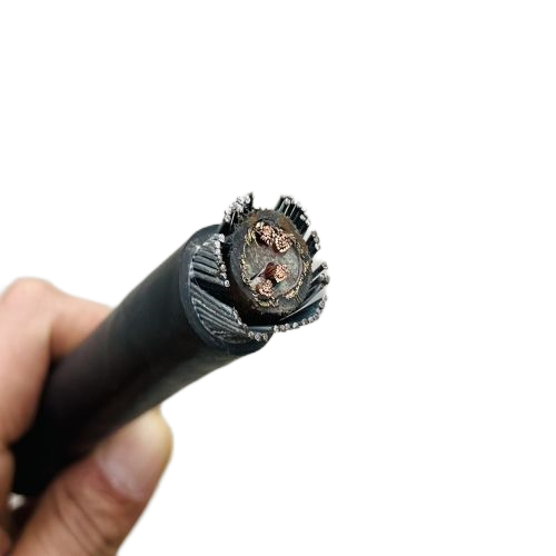 亚洲国产熟妇无码日韩