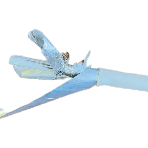 亚洲国产熟妇无码日韩