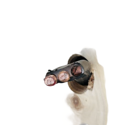 亚洲国产熟妇无码日韩