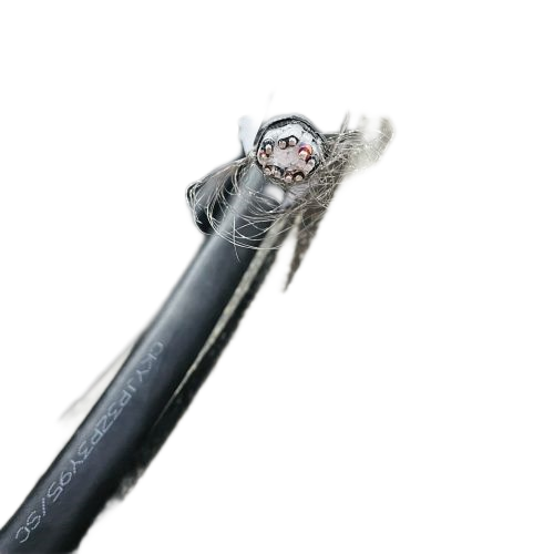 亚洲国产熟妇无码日韩