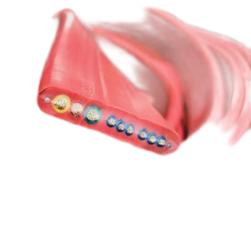 亚洲国产熟妇无码日韩