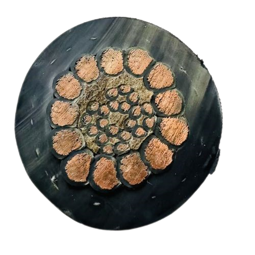 亚洲国产熟妇无码日韩