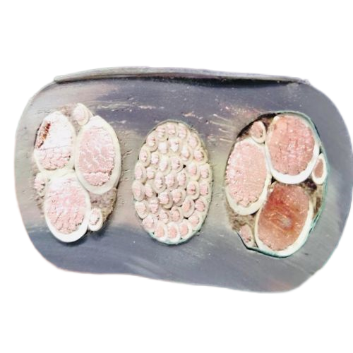 亚洲国产熟妇无码日韩