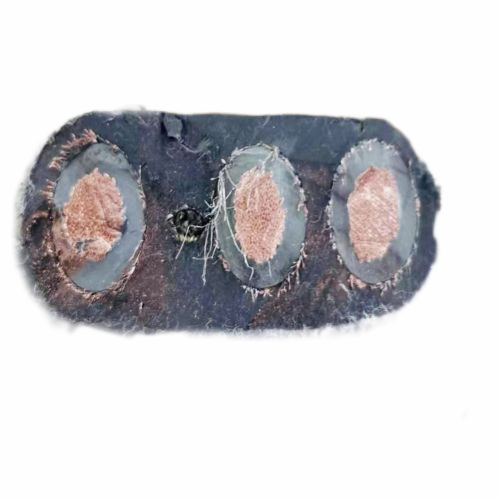 亚洲国产熟妇无码日韩