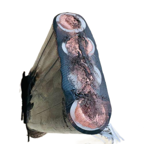 亚洲国产熟妇无码日韩