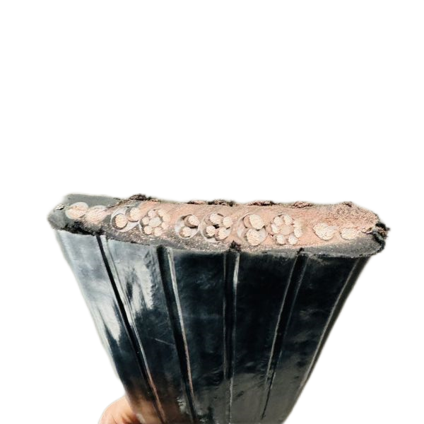 亚洲国产熟妇无码日韩