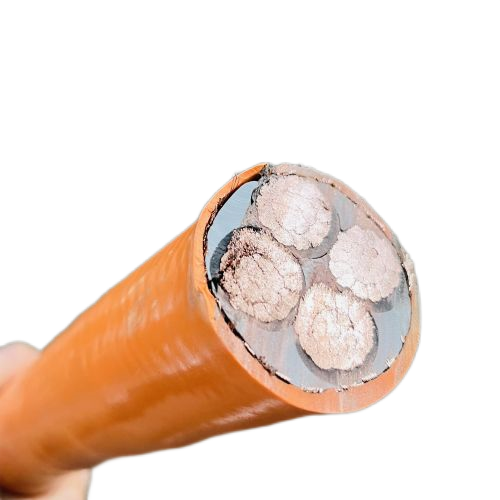 亚洲国产熟妇无码日韩