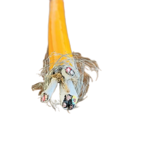 亚洲国产熟妇无码日韩