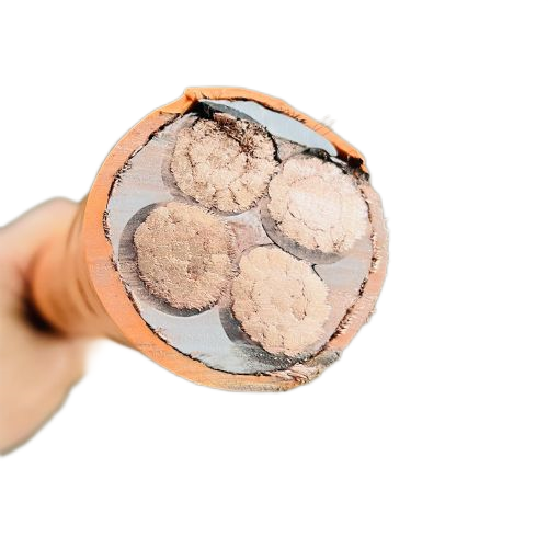 亚洲国产熟妇无码日韩