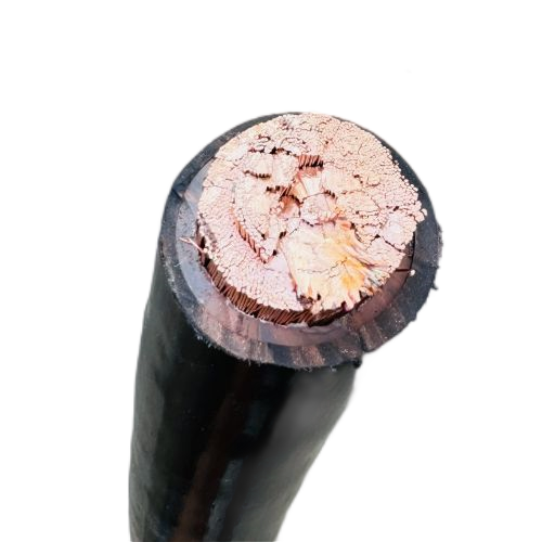 亚洲国产熟妇无码日韩