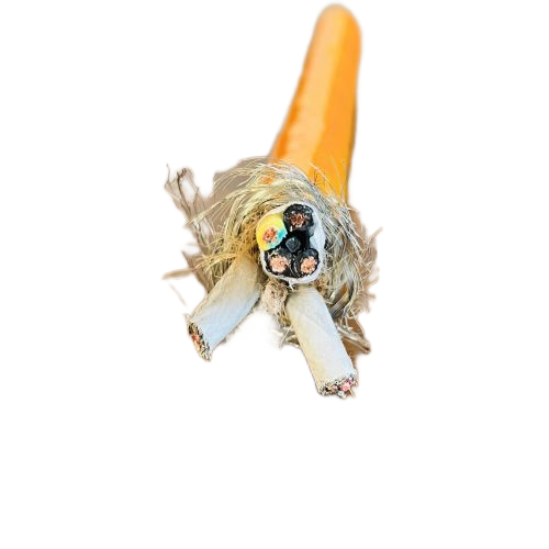 亚洲国产熟妇无码日韩