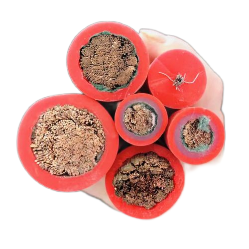 亚洲国产熟妇无码日韩