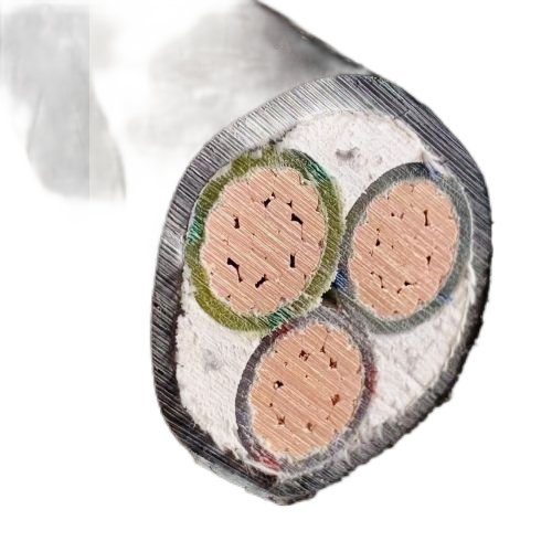 亚洲国产熟妇无码日韩