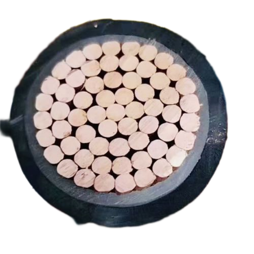 亚洲国产熟妇无码日韩