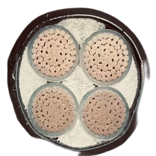 亚洲国产熟妇无码日韩