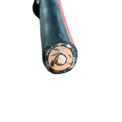 亚洲国产熟妇无码日韩