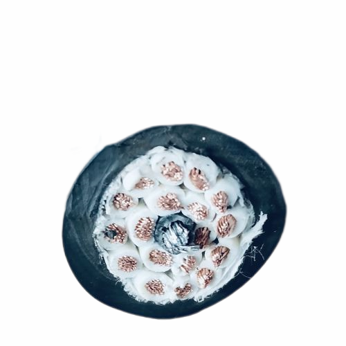 亚洲国产熟妇无码日韩