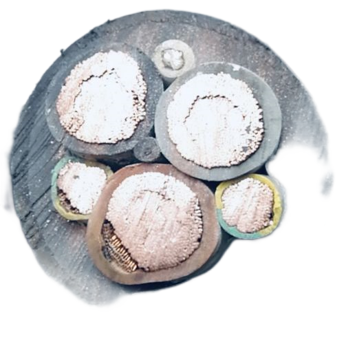 亚洲国产熟妇无码日韩