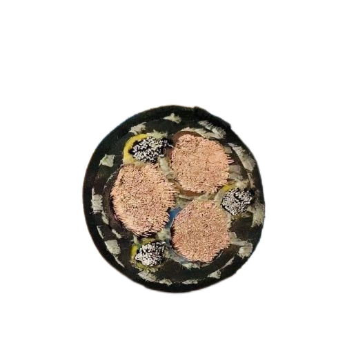 亚洲国产熟妇无码日韩