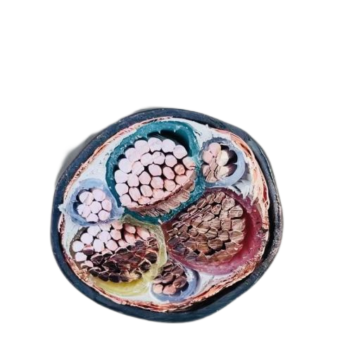 亚洲国产熟妇无码日韩