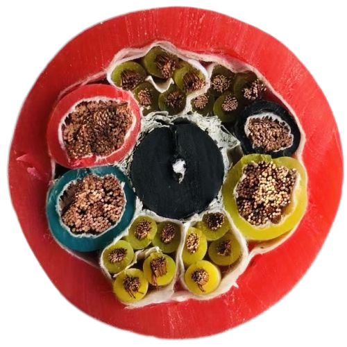 亚洲国产熟妇无码日韩