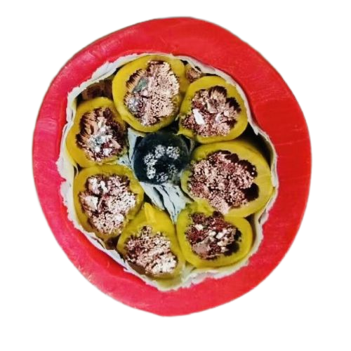 亚洲国产熟妇无码日韩