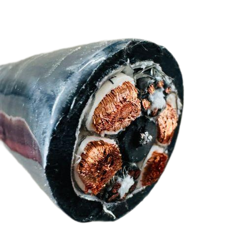 亚洲国产熟妇无码日韩