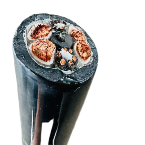 亚洲国产熟妇无码日韩