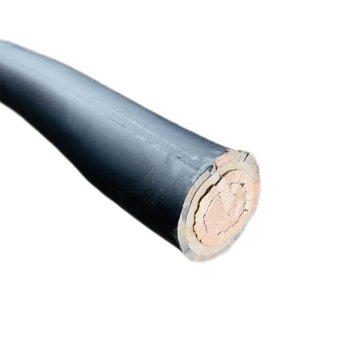 亚洲国产熟妇无码日韩