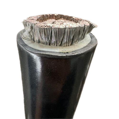 亚洲国产熟妇无码日韩