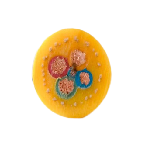 亚洲国产熟妇无码日韩