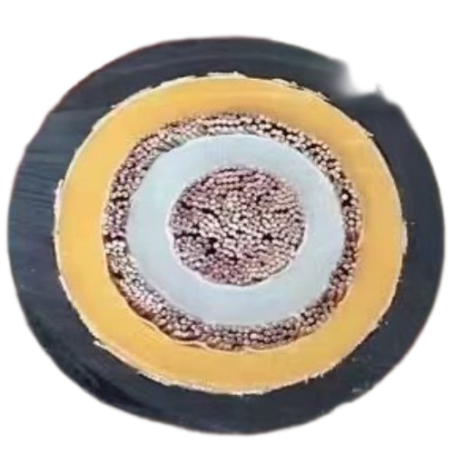 亚洲国产熟妇无码日韩