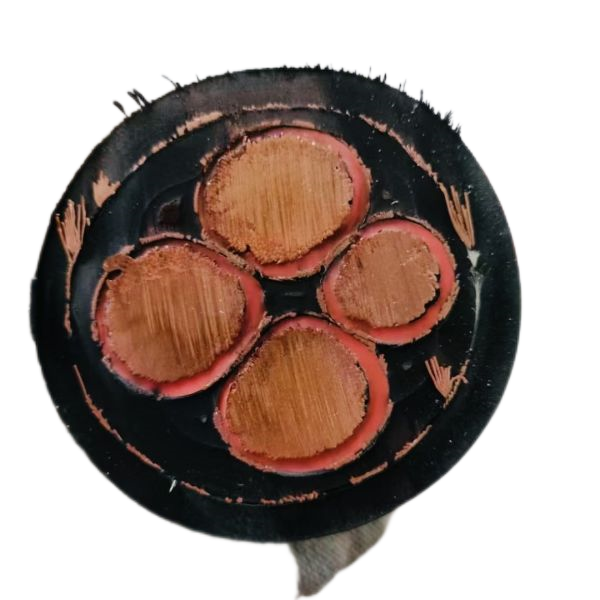 亚洲国产熟妇无码日韩