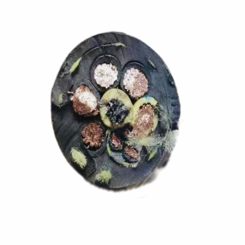 亚洲国产熟妇无码日韩