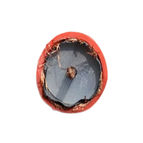 亚洲国产熟妇无码日韩