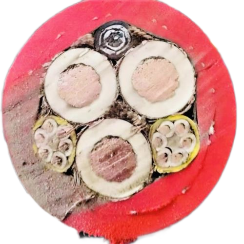 亚洲国产熟妇无码日韩