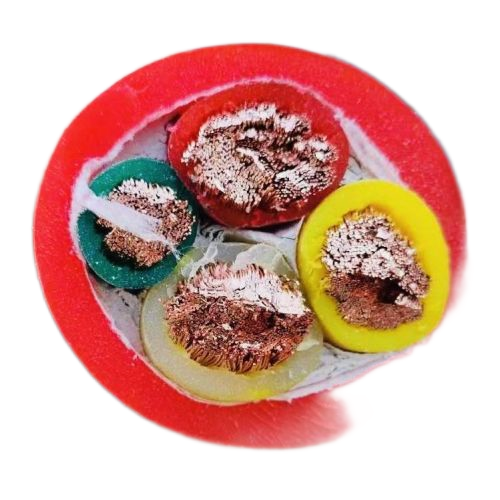 亚洲国产熟妇无码日韩