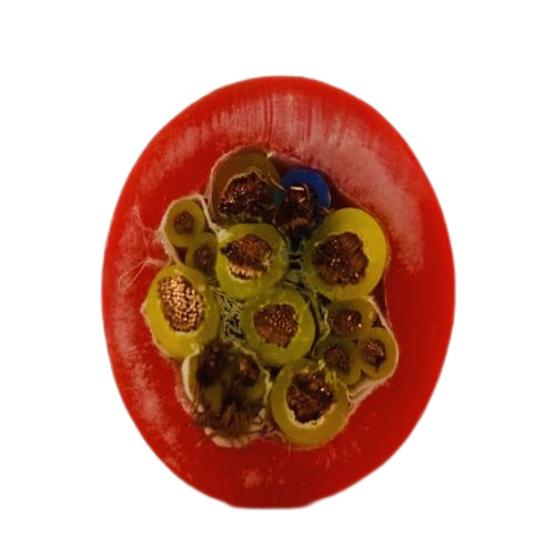 亚洲国产熟妇无码日韩