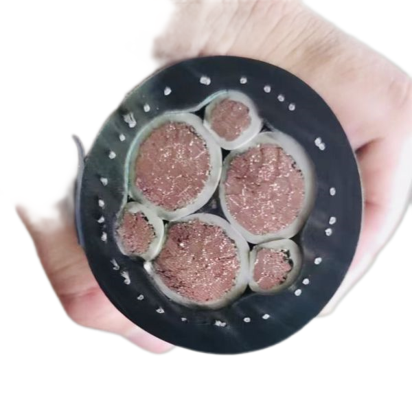 亚洲国产熟妇无码日韩