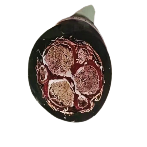 亚洲国产熟妇无码日韩