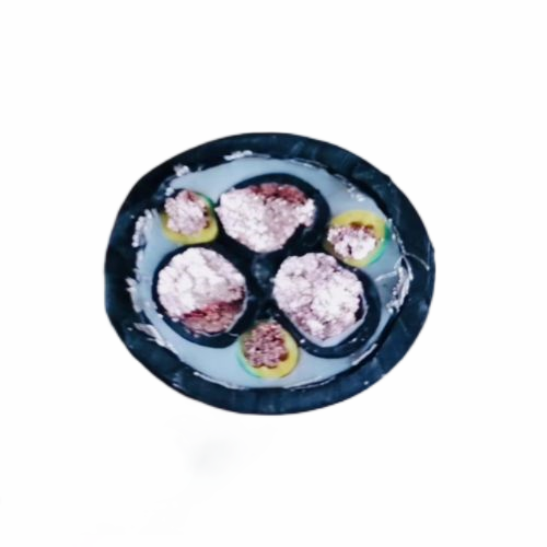 亚洲国产熟妇无码日韩