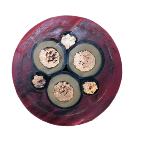 亚洲国产熟妇无码日韩