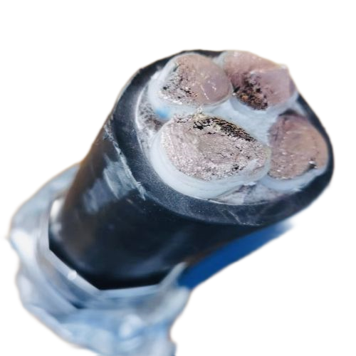 亚洲国产熟妇无码日韩